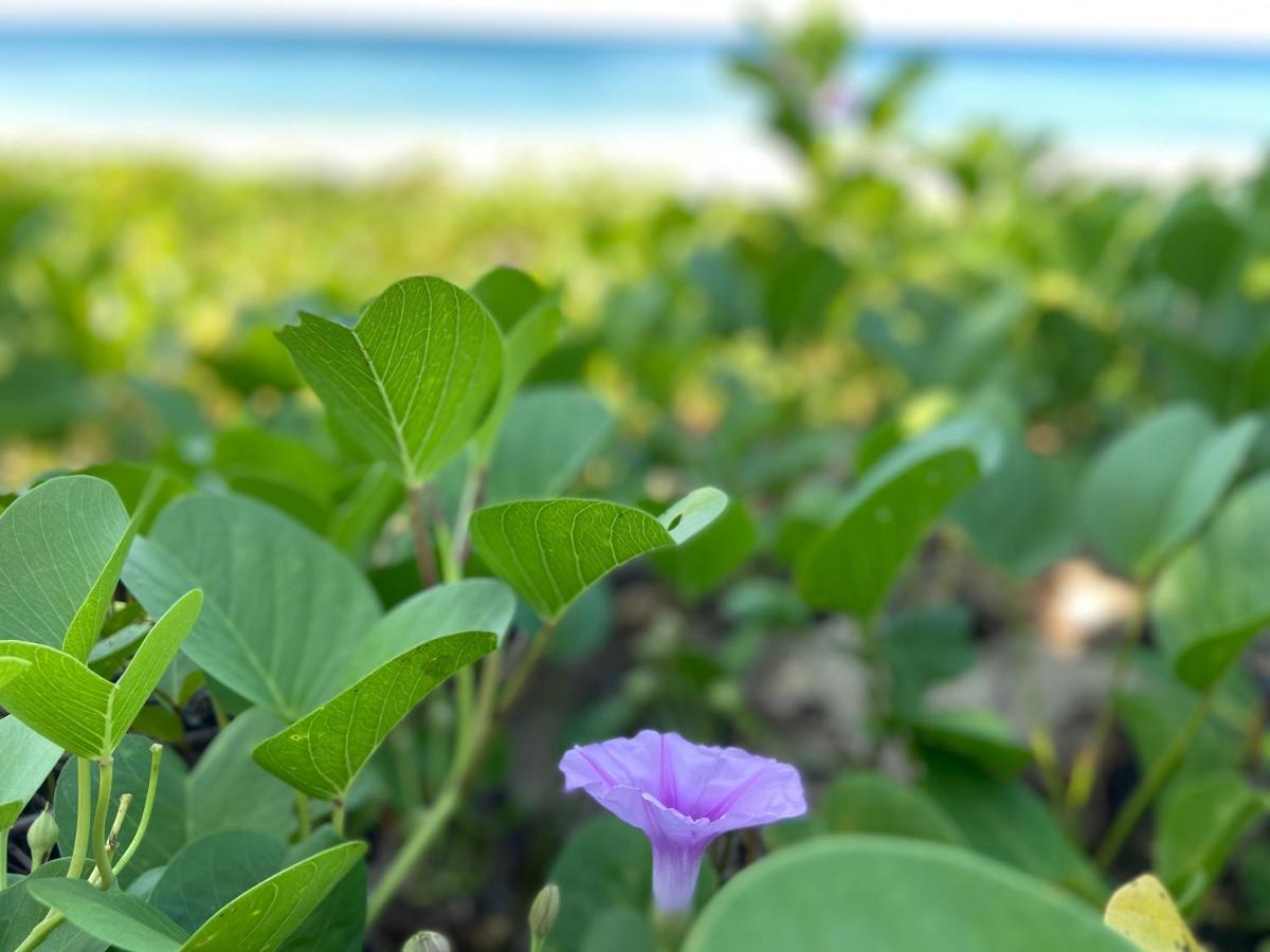 Lanta Smile Inn Ko Lanta Eksteriør billede